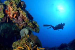 Cozumel Scuba Diving