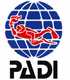 Logo-Padi